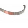 Ремінь генератора Nissan Almera/Primera/Sunny 1.0-5.0 82-