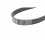 Ремінь генератора Jeep Wrangler 4.0 98-07/Toyota Avensis 1.6/1.8 00-03/Subaru Forester 13- (6PK1910)