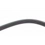 Ремінь генератора BMW 3 (E46)/5 (E39) 1.8D/2.0D 98-03 (5PK836) M47 D20
