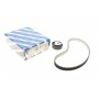Комплект ГРМ Ford Connect/Focus/Mondeo 1.8TDCI 02- (20x91z)