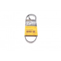 Ремінь генератора Fiat Ducato/Peugeot Boxer 2.2JTD/HDi 06-