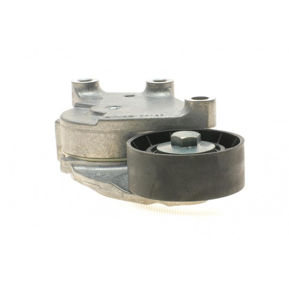 Натяжник ременя генератора Citroen/Peugeot/Ford 1.4HDi/1.6TDCi 01-