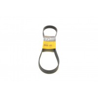 Ремінь генератора Renault Clio III/Modus/Twingo 1.2 05-/BMW 7 (E38) 5.4 94-01/Nissan Pathfinder 12-