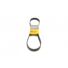 Ремінь генератора Renault Clio III/Modus/Twingo 1.2 05-/BMW 7 (E38) 5.4 94-01/Nissan Pathfinder 12-