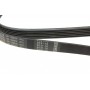 Ремінь генератора MB W202/210 M111/Ford Transit 2.301-06 (6PK1775)