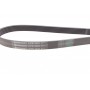 Ремінь генератора VW T4 2.5 90-03/Ford Fiesta/Mondeo 1.8/2.0 00-08/Jeep Cherokee 3.7 01-08