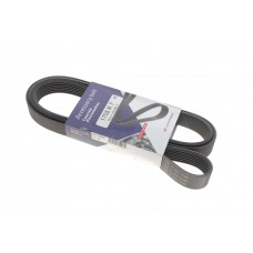 Ремінь генератора Renault Megane II 2.0 dCi 05-09 (7PK1705)
