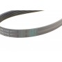 Ремінь генератора Opel Vectra/Omega 1.8-2.2 86-03/Audi A6 2.5TDI 94-97/Chevrolet Lacetti 1.8 05-