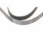 Ремінь генератора MB C-class (W202) 93-01/E-class (W124) 93-98/Ssangyong Korando 96-06/Dodge 06-