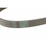 Ремінь генератора Renault Clio III/Modus/Twingo 1.2 05-/BMW 7 (E38) 5.4 94-01/Nissan Pathfinder 12-