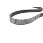 Ремінь генератора Peugeot 406 96-04/Citroen C4 Picasso 2.0i 07-13 (6PK1480)