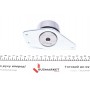Ролик ГРМ Renault Kangoo 1.9dCi 01- (паразитний) (65х42.1)