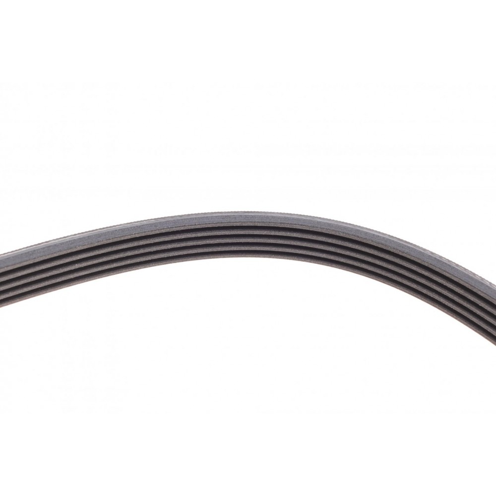 Ремінь генератора Opel Zafira/Astra 1.6/1.8 05-15/Fiat 1.6/1.8 05-/Chevrolet Orlando 1.8 11-