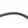 Ремінь генератора Opel Zafira/Astra 1.6/1.8 05-15/Fiat 1.6/1.8 05-/Chevrolet Orlando 1.8 11-