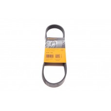 Ремінь генератора Citroen Berlingo/Fiat Ducato/Peugeot Boxer/Expert 1.9 D/TD 96-03 (6PK730)