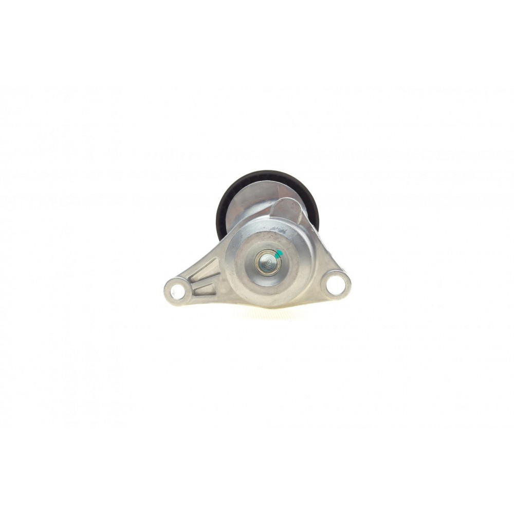 Натяжник ременя генератора Citroen C2/C3/C4/Peugeot 207/307 1.1-1.6 00-