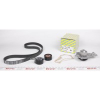 Комплект ГРМ + помпа Citroen Berlingo/Jumpy 1.6HDI 10- (141/25/z141)