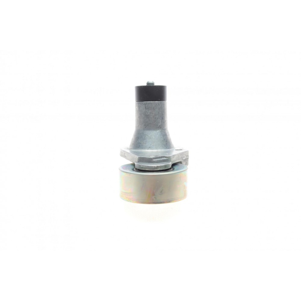 Натяжник ременя генератора  Citroen C5/C6/C8/Peugeot406/607/807 3.0 V6 96-