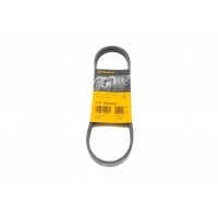 Ремінь генератора Ford C-Max/ Focus/ Volvo S40 1.8-2.0 06-12