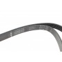 Ремінь генератора Audi A4/A6 1.6-2.0 00-08 (6PK1570)
