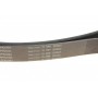 Ремінь генератора Land Rover Range Rover Sport 05-13/Discovery 2.7D 04- (8PK2093)