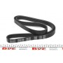 Ремінь генератора Citroen Berlingo 1.6 00-08/ Nemo 1.4i 08- (6PK1560)