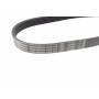 Ремінь генератора VW Caddy IV/Golf VII 1.0-1.2TSI/1.4TSI 15- (-AC) (6PK745)