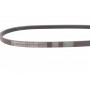 Ремінь генератора Nissan Primera/Micra/Note 1.2-2.0 90-10/Chevrolet Aveo 1.2 04-