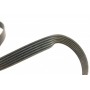 Комплект ременя генератора VW Caddy II 1.4/1.6 95-04 (6PK1070)