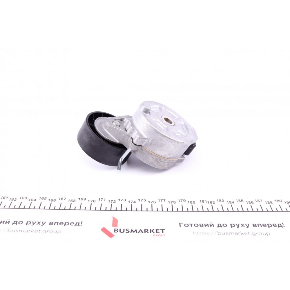 Натяжник ременя генератора Ford Mondeo IV/Peugeot 407 2.0TDCi/2.2 HDi 06-