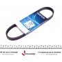 Ремінь генератора Ford Fusion 1.4/1.6i 02-12