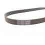Ремінь генератора VW Caddy 1.6-2.0TDI 15-/Peugeot 2008/306/307/406 1.2-1.6 03-
