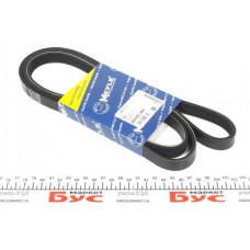 Ремінь генератора BMW 3 (E36) 1.8TDS 95-00 (5PK1885)