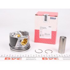Поршень VW Caddy/Golf/Passat 2.0TDI 05- (81.01mm/STD)