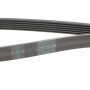 Ремінь генератора Audi A8 3.0i 03-06/Lexus GS/IS 3.0/3.5 00-11/Ford Fiesta 1.25-1.6 94-02