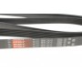 Ремінь генератора Jeep Cherokee/Liberty 2.5CRD/2.8 CRD 01-