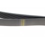 Ремінь генератора Daf CF/XF 12.9 05- (9PK1424)