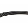 Ремінь генератора Peugeot Expert/Citroen Jumpy 2.0HDi 07-/Ford Focus/Kuga 2.0TDCi 04-12 (6PK1215)