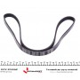 Ремінь генератора Opel Astra/Corsa 1.0/1.2/1.4 96- (5PK1360)