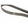 Ремінь генератора Hyundai i30 1.4/1.6 07-12 (6PK1255)