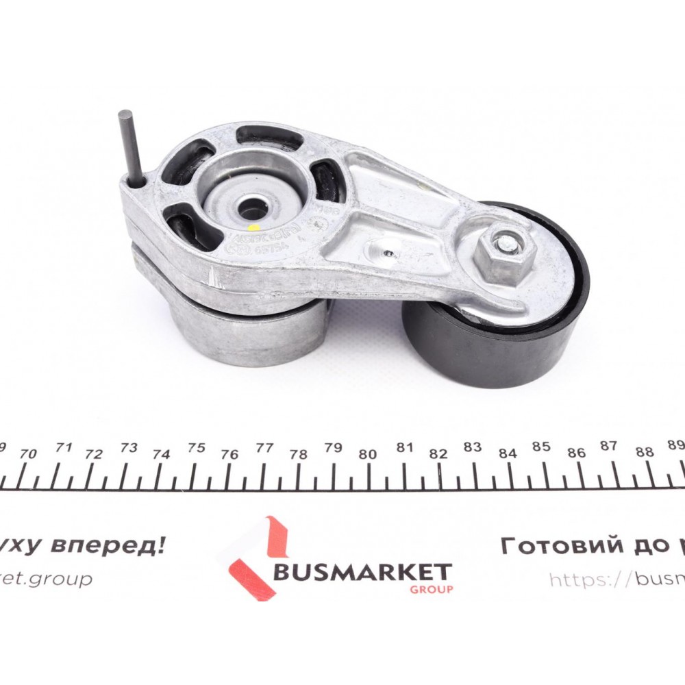 Натяжник ременя генератора BMW 3 (F30/F80) 12-16, N13 B16A