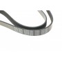 Ремінь генератора Renault Kangoo 1.5 dCi/ Citroen C5/ C6/ C8/ Xantia/ XM Break 2.0-2.2 92-