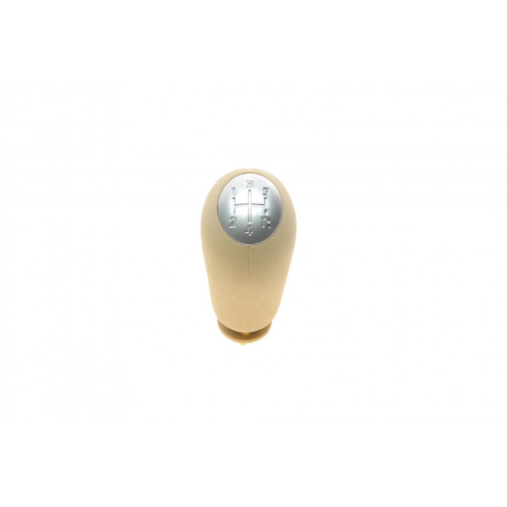 Ручка КПП Renault Megane/Scenic 03-08 (5-ступінчата)