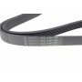 Ремінь генератора MB 210 2.3D