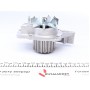 Комплект ГРМ + помпа Citroen Berlingo/Jumpy/C4/C5/Fiat Scudo/Peugeot 2.0HDI 99-06 (141x25) (PA747)