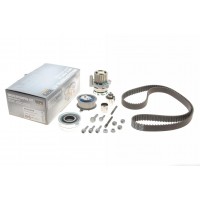 Комплект ГРМ VW Golf VI/Skoda Octavia/Superb/Audi A3 2.0TDI 04-13 (160x25)(P569)