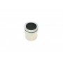 Поршень супорта (заднього) Land Rover Range Rover III 02-12 (45x48mm)(Bendix/Bosch)
