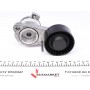 Натяжник ременя генератора BMW 5 (F10) 09-13, N52/N53