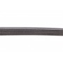 Ремінь генератора Daewoo Lanos 1.6 16V 97-/BMW 5 (E39) 3.5/4.4i 96-03 (M62)