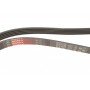 Ремінь генератора Kia Cerato/Rio 1.5-1.6 CRDI 05-11